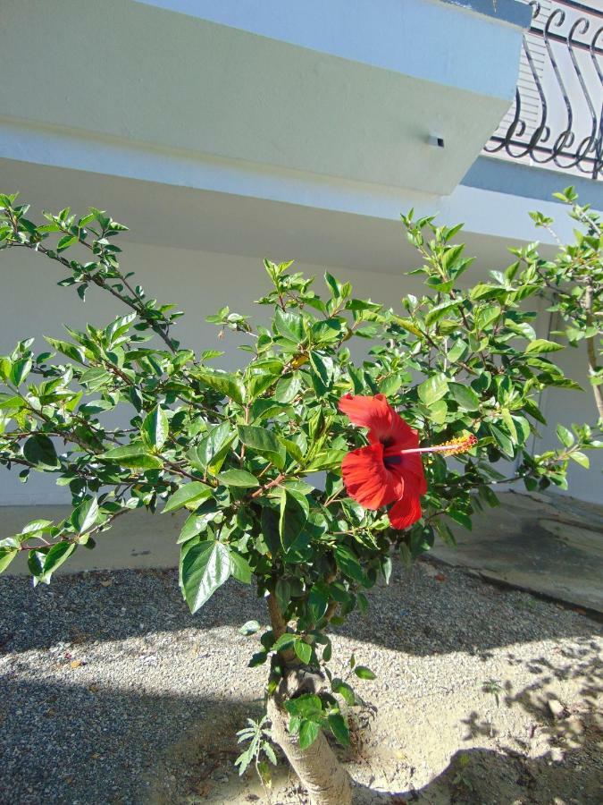 Villa Dora Faliraki Exterior foto